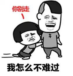  敷衍了太多我怎么不难过图片讲真的歌词表情包下载乐游网游戏下载