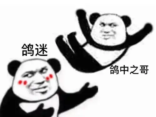  周杰伦周小公举表情包合集