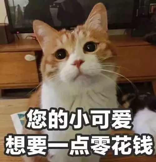 双十一微信表情包信用卡