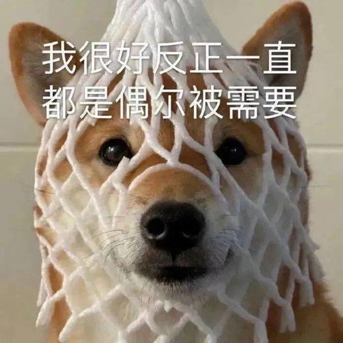  今日表情包,26