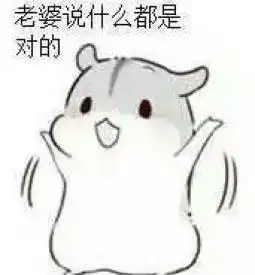  哄老婆表情包老婆大人对不起好喜欢老婆我老婆超级可爱