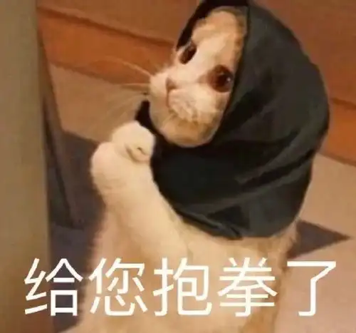  东北人的菜量真的很大吗