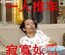 活捉表情包北京瘫