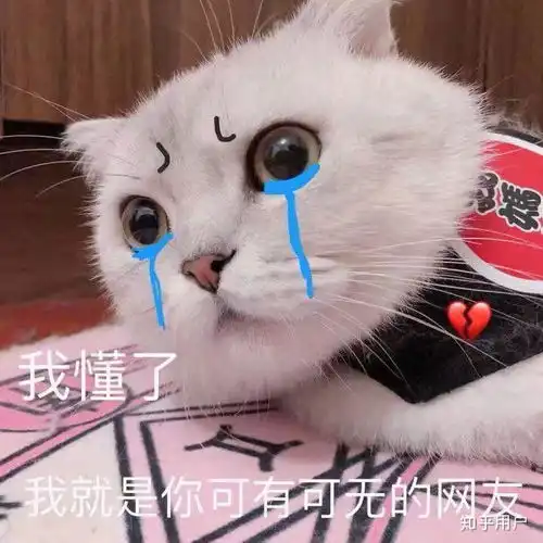  网g