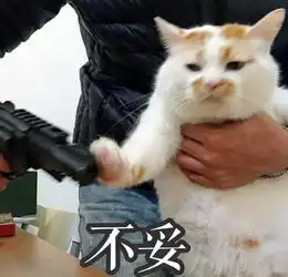 算我求你的表情包猫凡尔