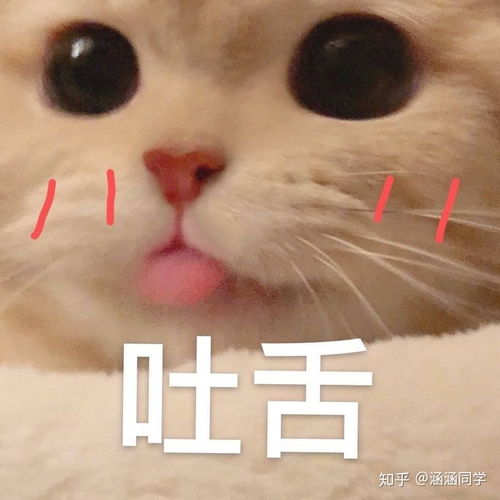 脆皮鸡图片表情包明星脸