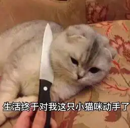  猫咪表情包合集早上好,算了,我爱你
