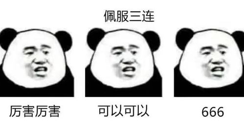  策划为和玩家交朋友真拼承包演唱会游轮,带玩家免费吃喝