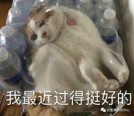  花千万娶小奶狗,却被渣男孕期出轨n次大玩3p,她还惨遭敲诈100w