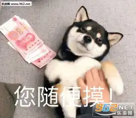  假如我年少有为不自卑配图图片三天之内鲨了你表情包图片下载乐游网游戏下载