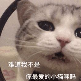 别拦我,老子今晚就离家出走哈哈哈疯了吧