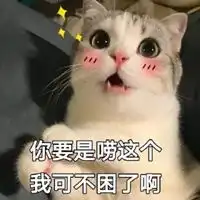 瓜皮猫表情包强颜欢笑