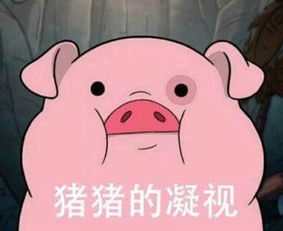  用生命直播猪皮shrug哔哩哔哩直播