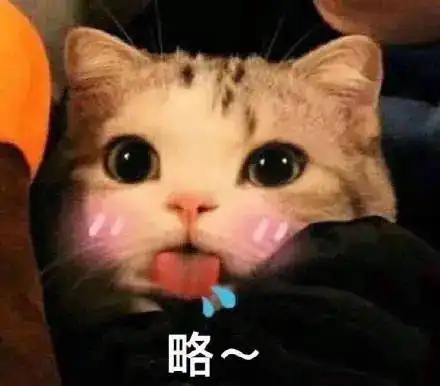  表情包猫我真的好羡慕啊