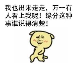  金馆长熊猫头蘑菇头带字表情包大全