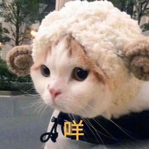  关于保养皮肤