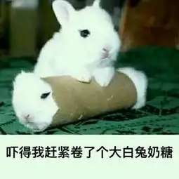  真正的高情商,体现在会说话上