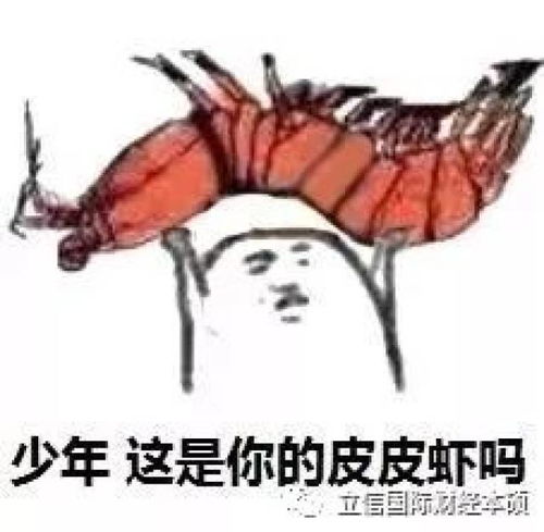  2017中国十大网络流行语谷歌十大热搜新鲜出炉今年最火的事物都在这里