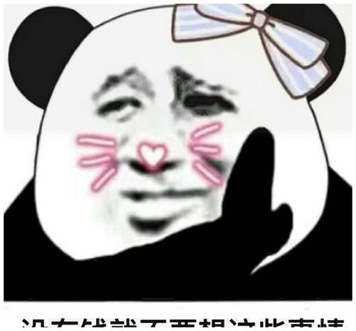  没有钱就不要想这些事情
