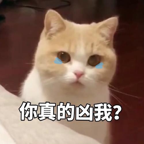 你可爱你说了算表情包