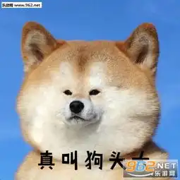  真叫狗头大搞笑表情包只做你的舔狗柴犬表情包下载乐游网游戏下载