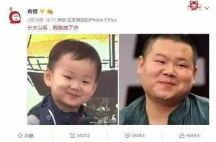 一把年纪可爱表情包宋民