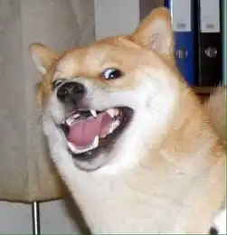 柴犬斜眼表情包眼白