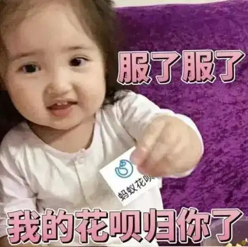  一年读500本书上海一5岁孩子简历火了网友这辈子都比不过这个孩子了