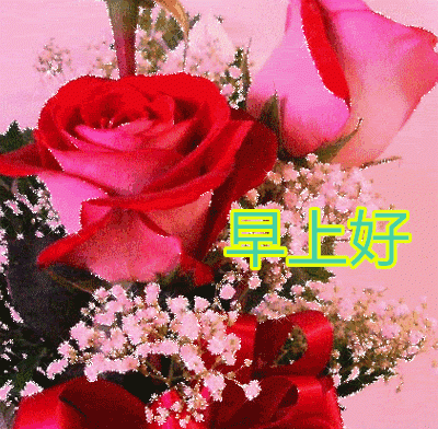  漂亮的鲜花早晨好动态表情图片大全最新早上好动态图片带鲜花