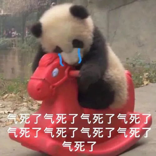  表情包神器丨明星搞笑表情包头像0623期