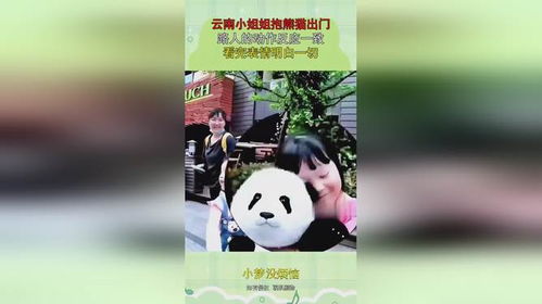  云南小姐姐抱熊猫出门,路人的动作反应一致,看完表情明白一切