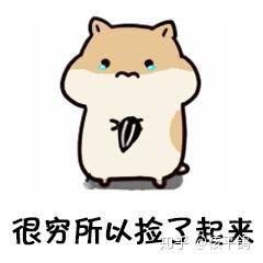  你有哪些可爱的小仓鼠表情包