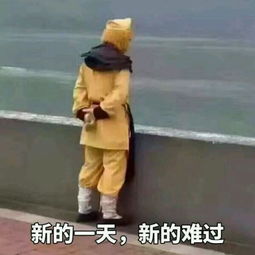  哈哈哈哈大师兄快被游客抓走了西天取经都没受过这种罪