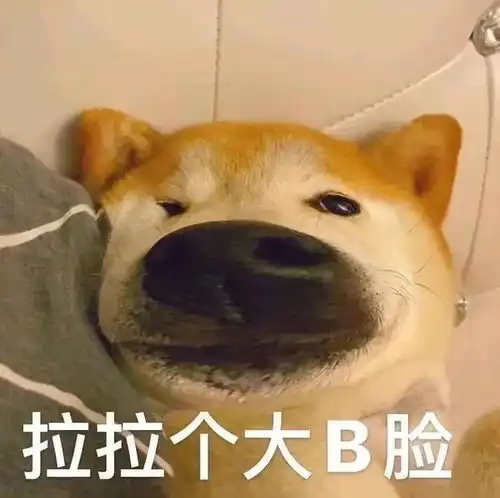 慌表情包文案