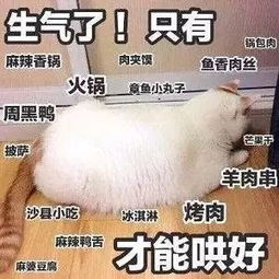  不用花钱也能瘦脸,女明星同款瘦脸教程了解一下