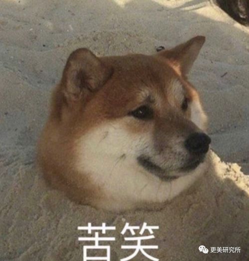 未响应表情包肖鸡