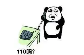  疯狂动物城爆发神秘凶杀案,兔子警官朱迪在哪