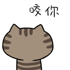 怎么给猫咪喂药