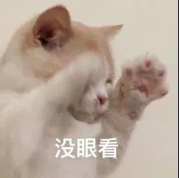 猫爪拍桌子系列表情包