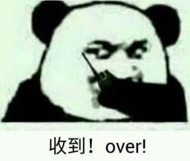 今晚约吗文字表情包熊猫