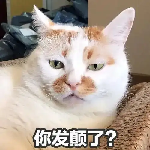  表情包沙雕猫咪聊天表情包你聊不动的天让小猫来