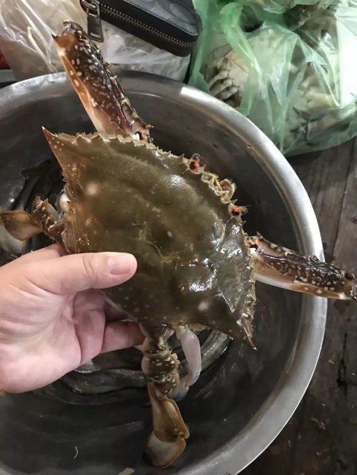  满城尽是螃蟹宴是全民吃蟹的季节