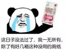  不仅澳洲奶粉被抢光,澳洲奶牛可能也要告急坐着飞机听着歌,土豪邀我去中东