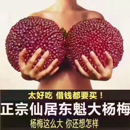  杨梅这么大,你还要怎样