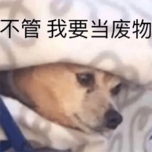  表情包这么可爱,拿来吧你