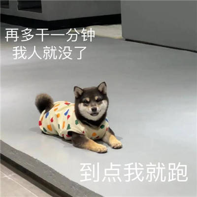  各种搞笑搞怪表情包合集