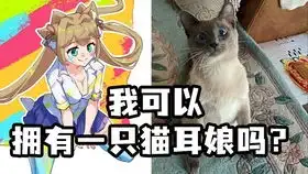  可爱菠萝包耳机包零钱包钩织教程