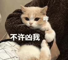  我哭了你满意了吧表情包