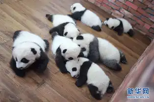  无标题
