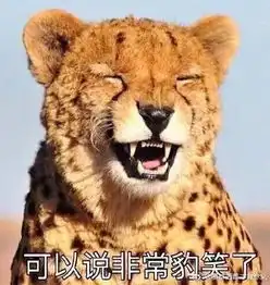  济南一男子收费站处玩起闯关游戏,一天之内五次闯卡,被抓后竟然这么解释